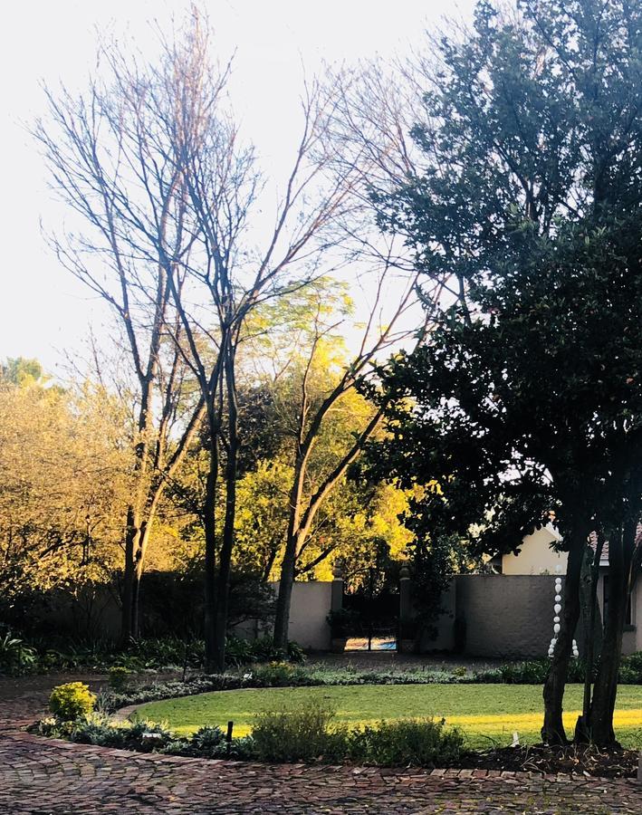 Bella B'S Bed & Breakfast Johannesburg Bagian luar foto